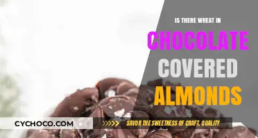 Decoding Ingredients: Do Chocolate-Covered Almonds Contain Wheat?