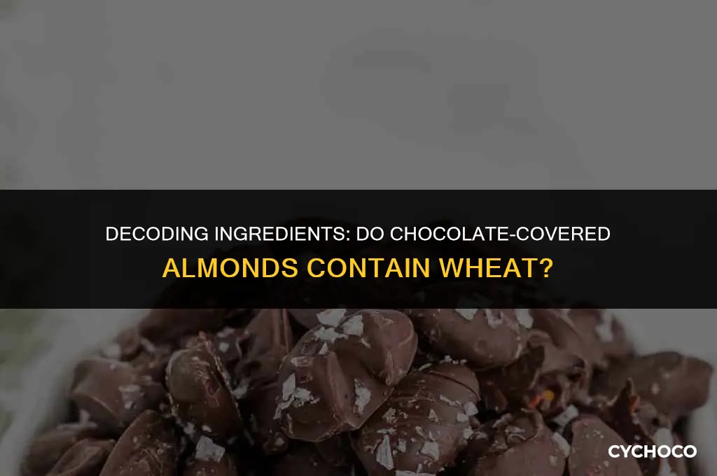 is there wheat in chocolate covered almonds