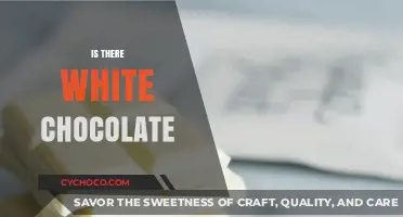 Exploring the Sweet Mystery: Is There Such a Thing as White Chocolate?