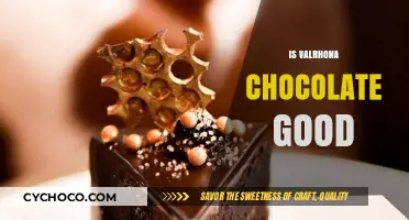 Indulge in Excellence: Why Valrhona Chocolate Stands Out