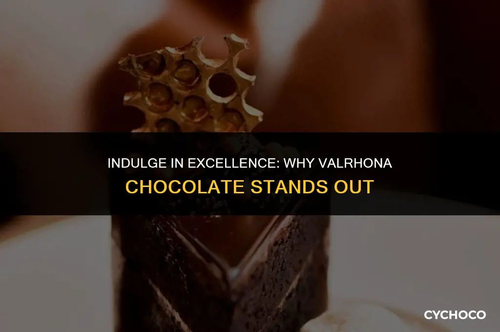 is valrhona chocolate good
