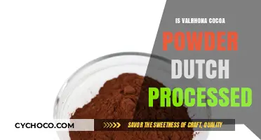 Is Valrhona Cocoa Powder Dutch Processed? A Comprehensive Guide