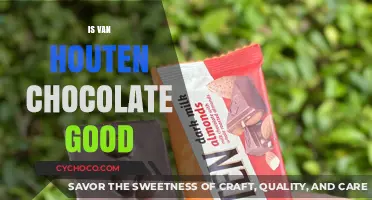 Exploring the Richness: Is Van Houten Chocolate Worth the Hype?