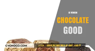 Indulge in Decadence: Is Venchi Chocolate Worth the Hype?
