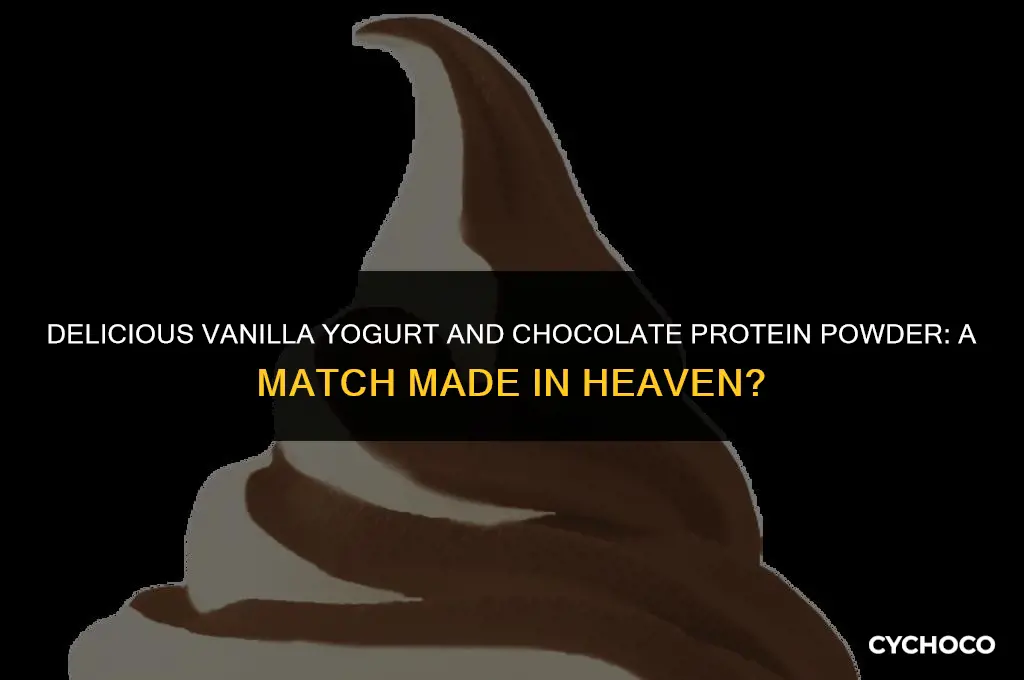 is vinilla yogurt good with chocolate protien powder