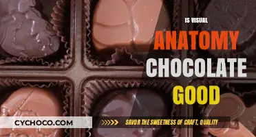 Exploring the Sweet Side of Learning: Is Visual Anatomy Chocolate Effective?