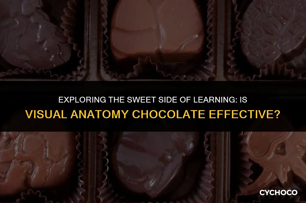 is visual anatomy chocolate good