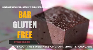 Indulge in Weight Watchers' Gluten-Free Chocolate Fudge Ice Cream Bar