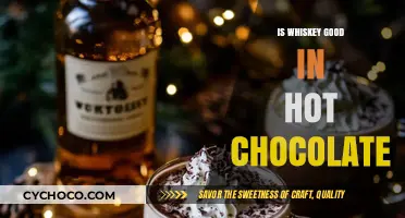 Exploring the Perfect Pairing: Whiskey and Hot Chocolate Delight