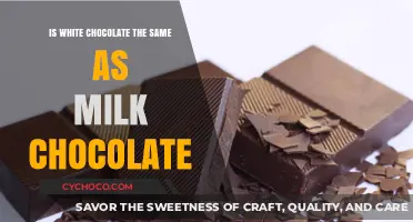 Unwrapping the Mystery: White vs. Milk Chocolate Explained