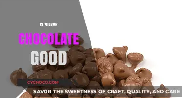 Indulging in Wilbur Chocolate: A Taste Test Review
