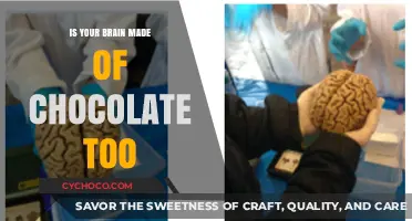 Sweet Thoughts: Exploring the Chocolate-Brain Connection
