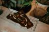 long chocolate