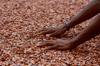 make cocoa