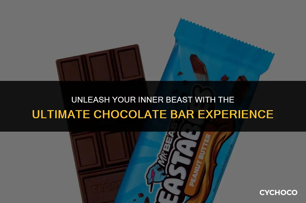 me beast chocolate bar