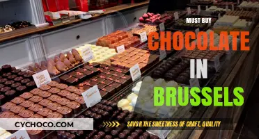 Indulge in Brussels' Finest: A Chocolate Lover's Guide to Must-Buy Treats