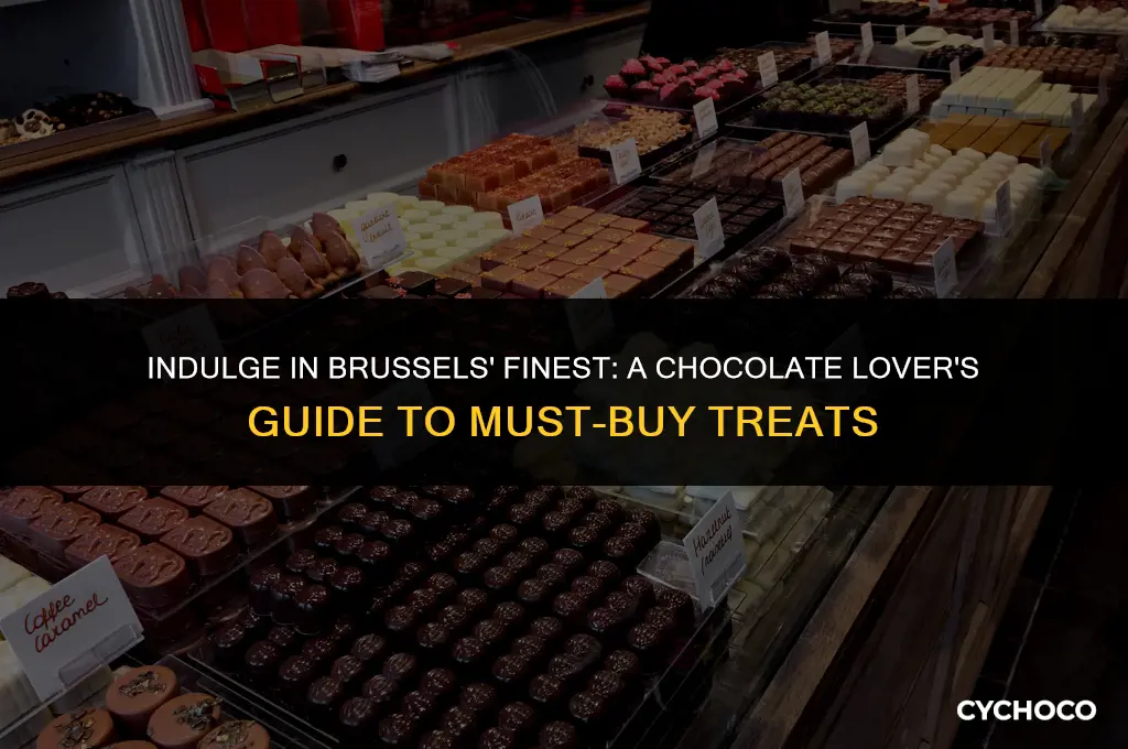 must buy chocolate in brussels