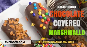 Chill or Not: The Great Chocolate-Covered Marshmallow Debate