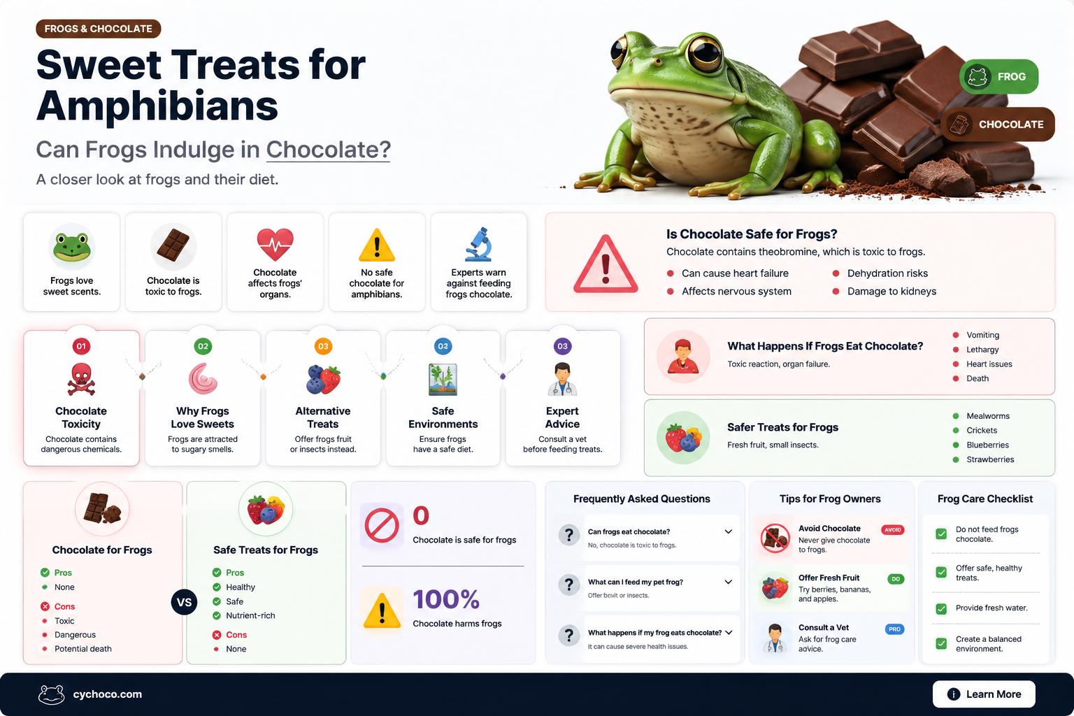 can frogs eat chocolate