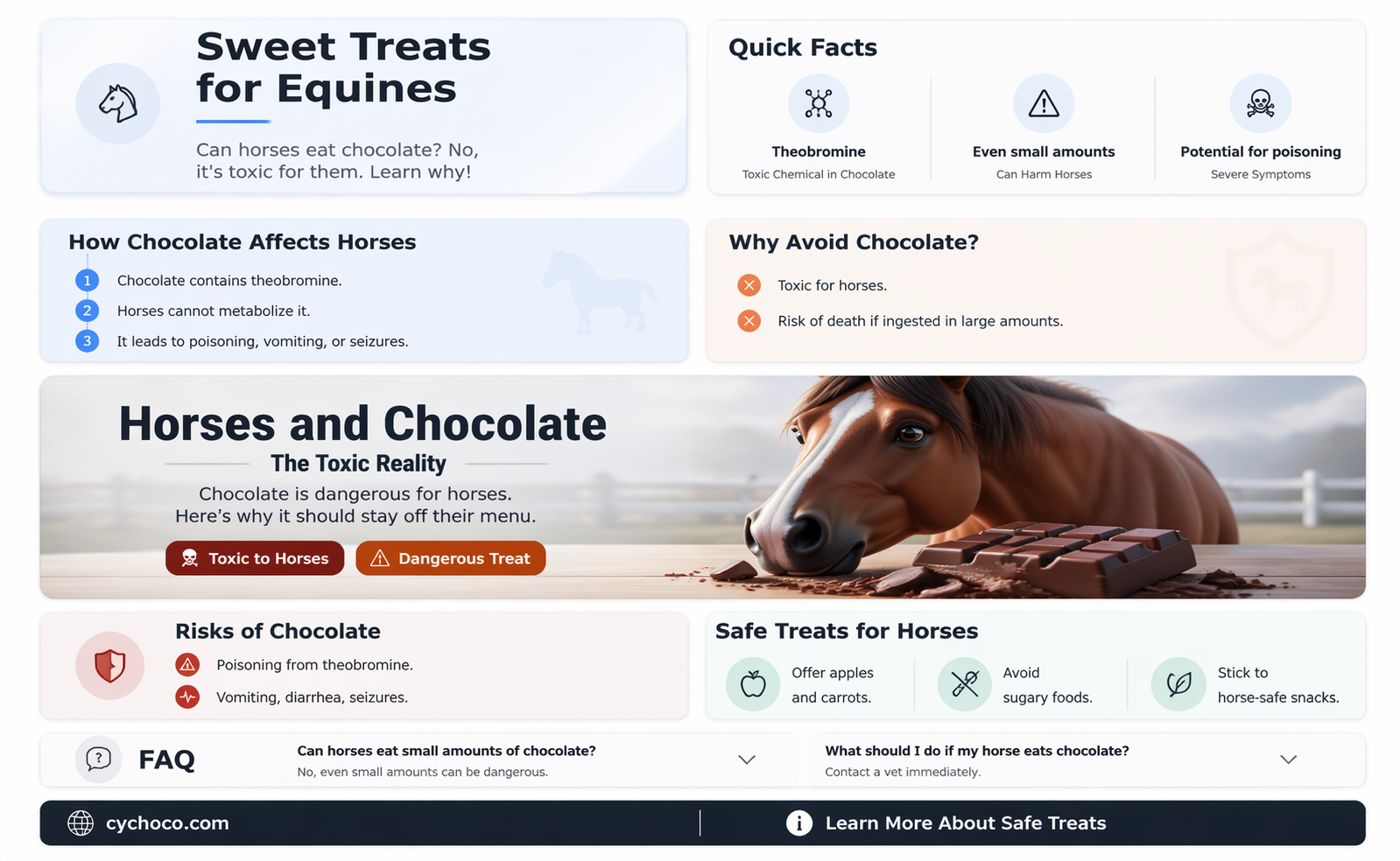 are horses able to eat chocolate
