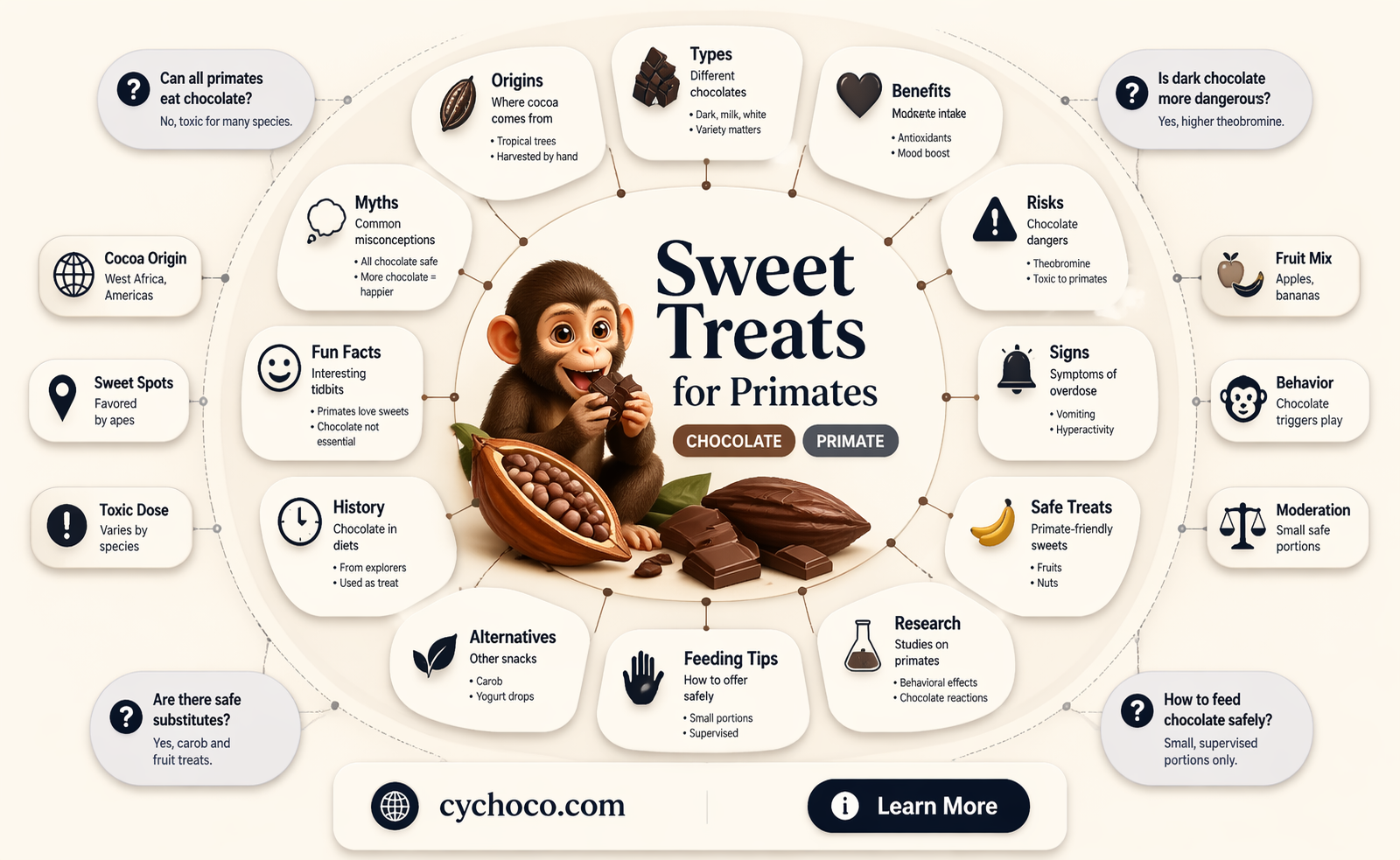 are monkeys allowed to eat chocolate