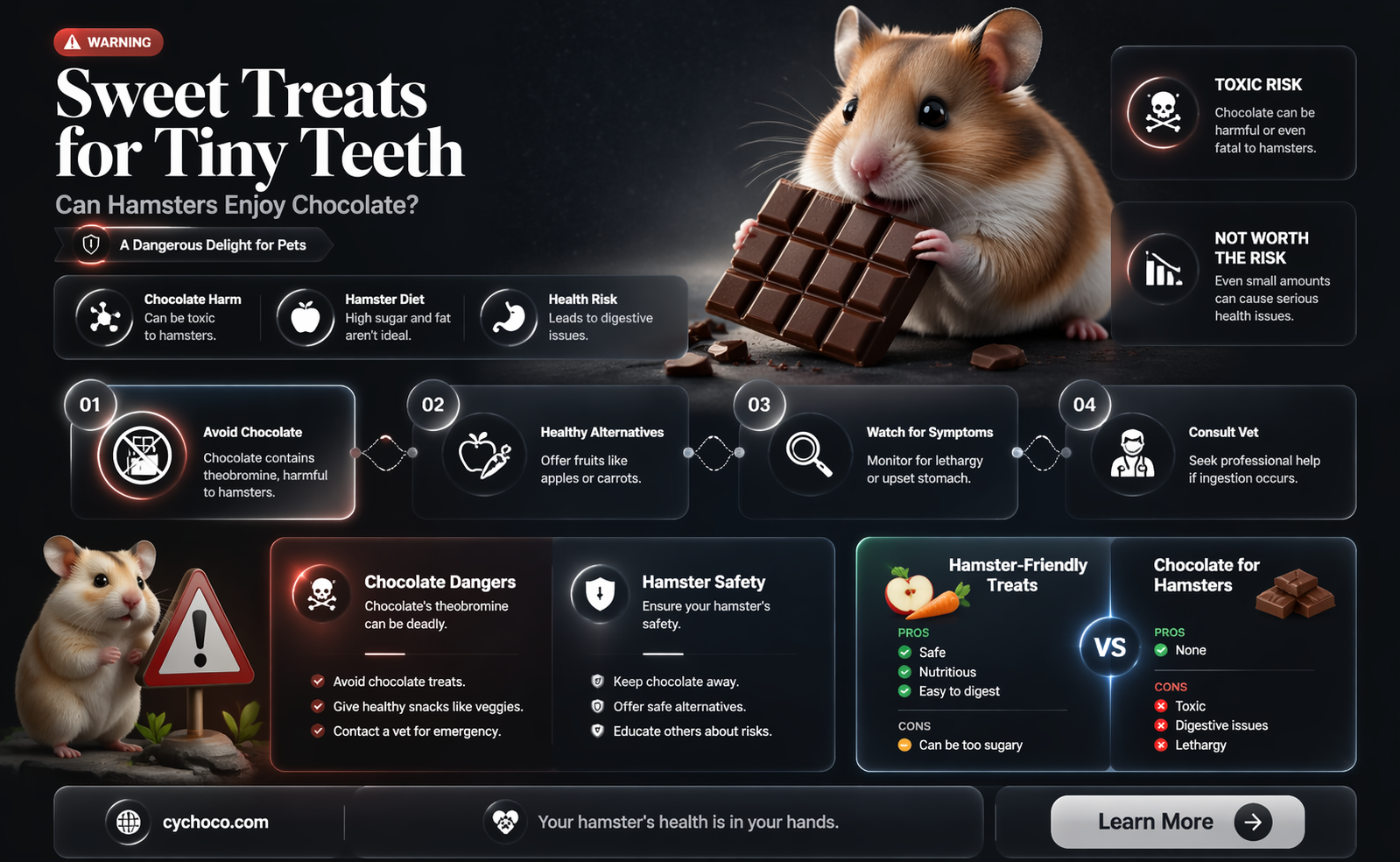 are hamsters allowed to eat chocolate