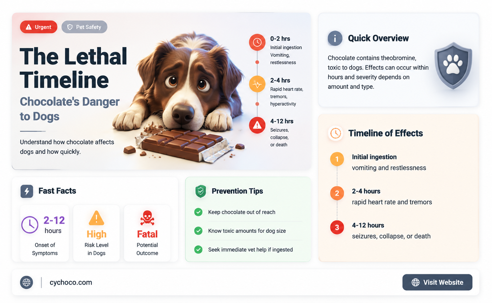 how long after eating chocolate will a dog die