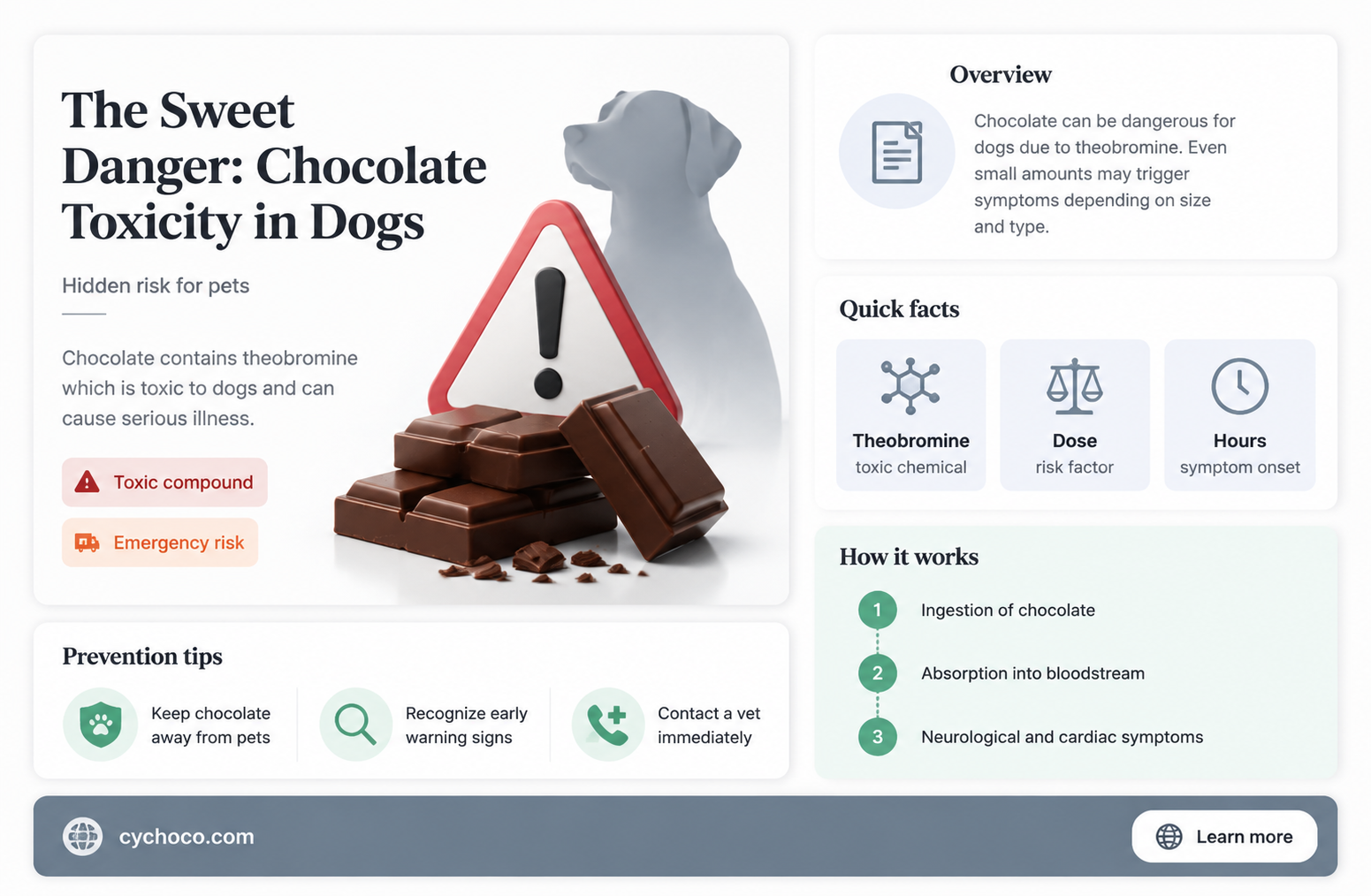 what happens if a dog eats too much chocolate