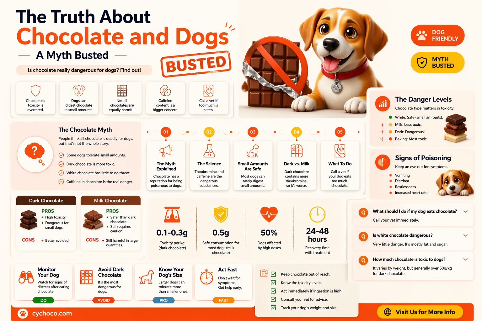 are dogs really not allowed to eat chocolate
