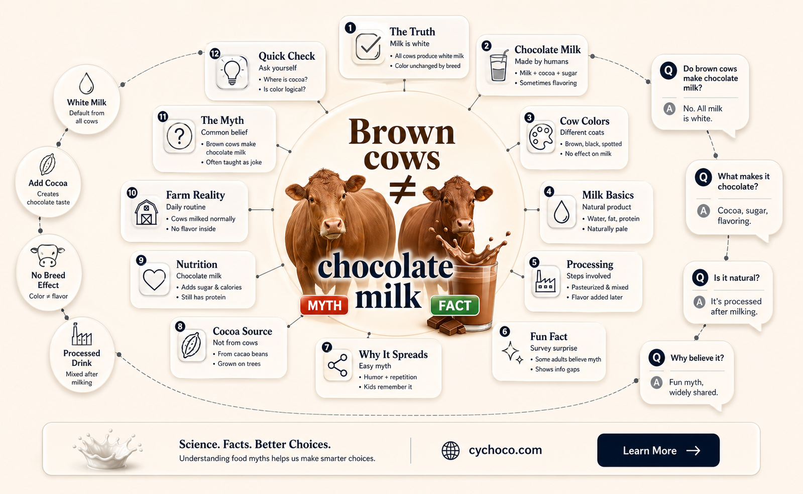 do brown cows produce chocolate milk