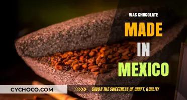 Unraveling the Sweet Mystery: Chocolate's Mexican Origins Explored