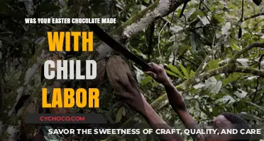 The Dark Side of Sweetness: Child Labor in Easter Chocolate Production