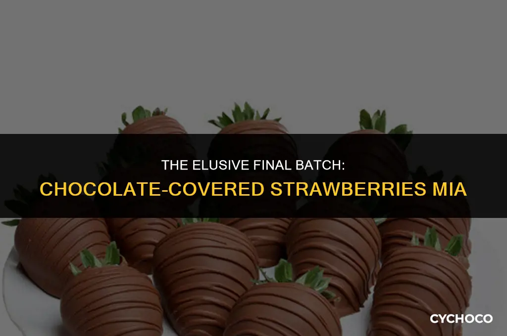 were is the last chocolate covered strawberries