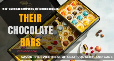 Decoding the Chocolate Supply Chain: American Companies and Ivorian Cocoa