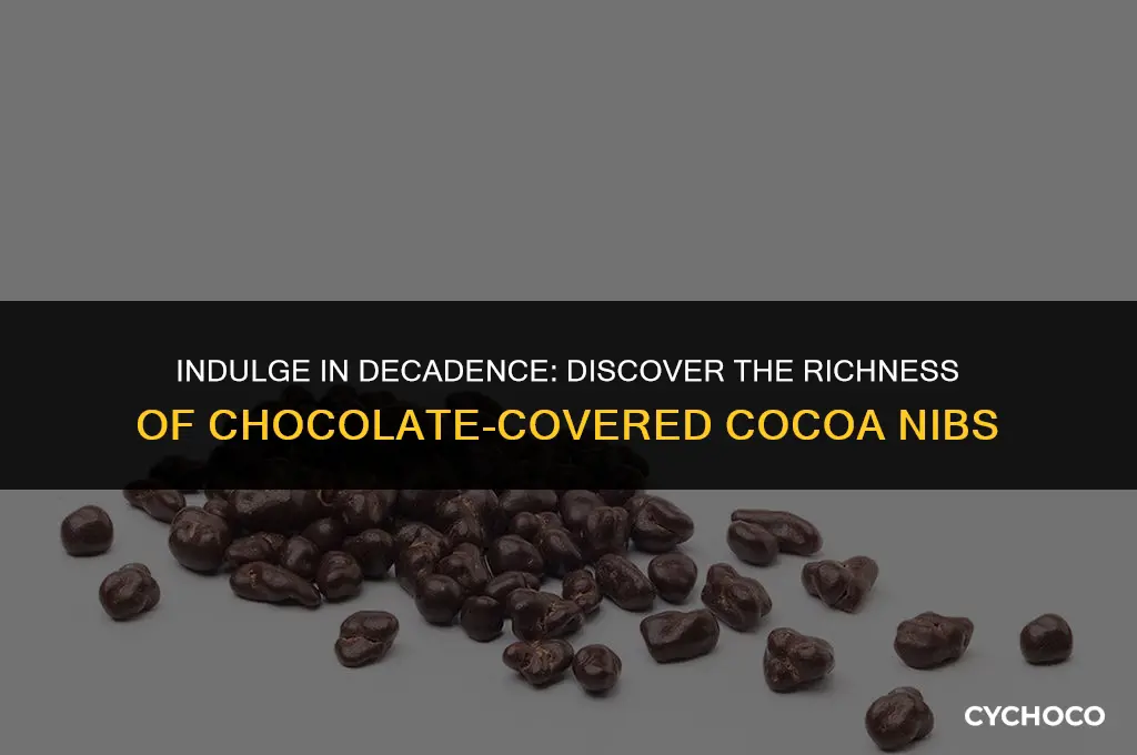 what are chocolate covered cocoa nibs