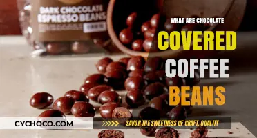 Indulge in Decadence: Chocolate-Covered Coffee Beans Unveiled