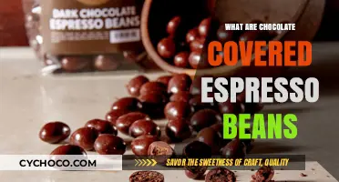 Indulge in Decadence: Chocolate-Covered Espresso Beans Unveiled