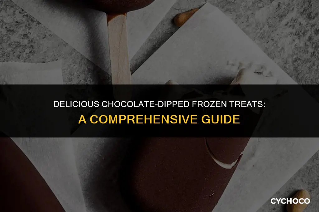 what are chocolate covered ice cream bars called