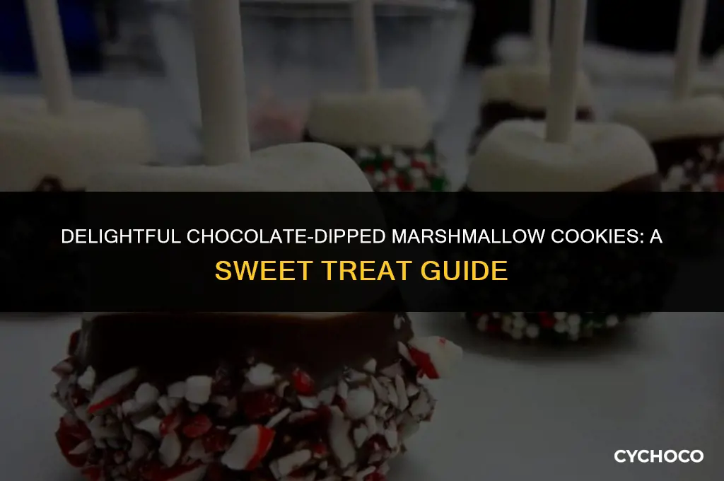 what are chocolate covered marshmallow cookies called