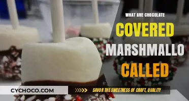 Delicious Chocolate-Dipped Marshmallows: A Sweet Treat Guide