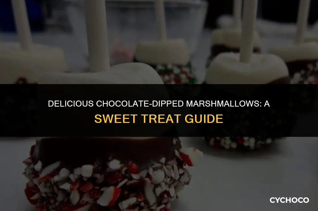 what are chocolate covered marshmallows called