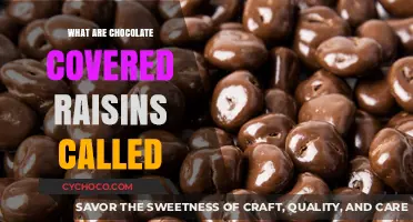 Delicious Morsels: Unveiling the Sweet Mystery of Chocolate-Covered Raisins