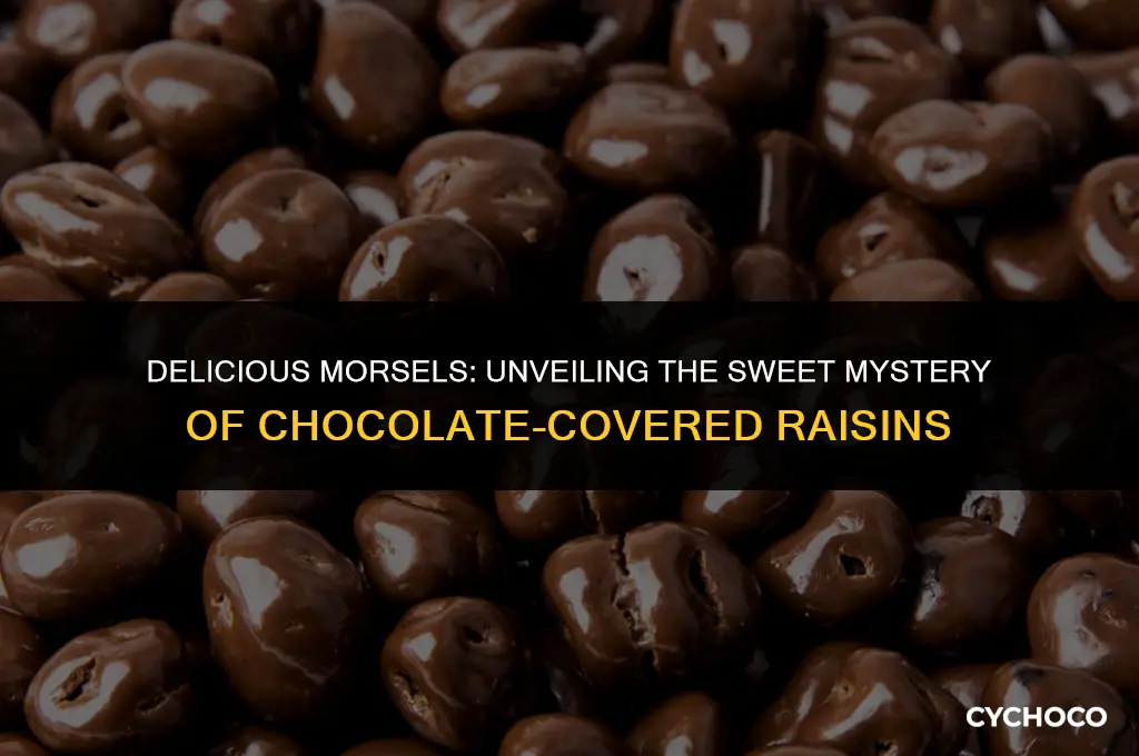 what are chocolate covered raisins called
