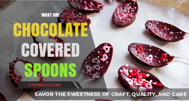 Sweet Fusion: Unveiling the Delight of Chocolate-Covered Spoons