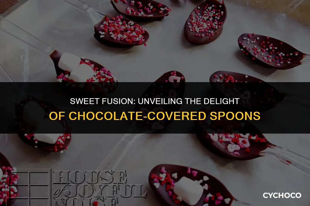 what are chocolate covered spoons