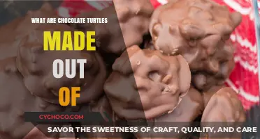 Delicious Chocolate Turtles: Unwrapping the Sweet Mystery