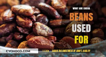 Cocoa Beans: From Chocolate Making to Surprising Uses Explored