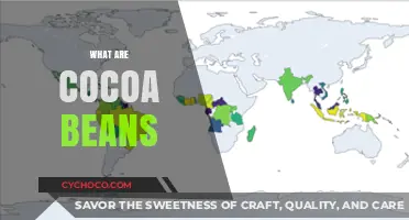 Unveiling the Secrets of Cocoa Beans: Origins, Uses, and Benefits