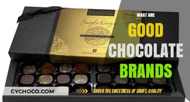 Indulge in Quality: A Guide to Exquisite Chocolate Brands