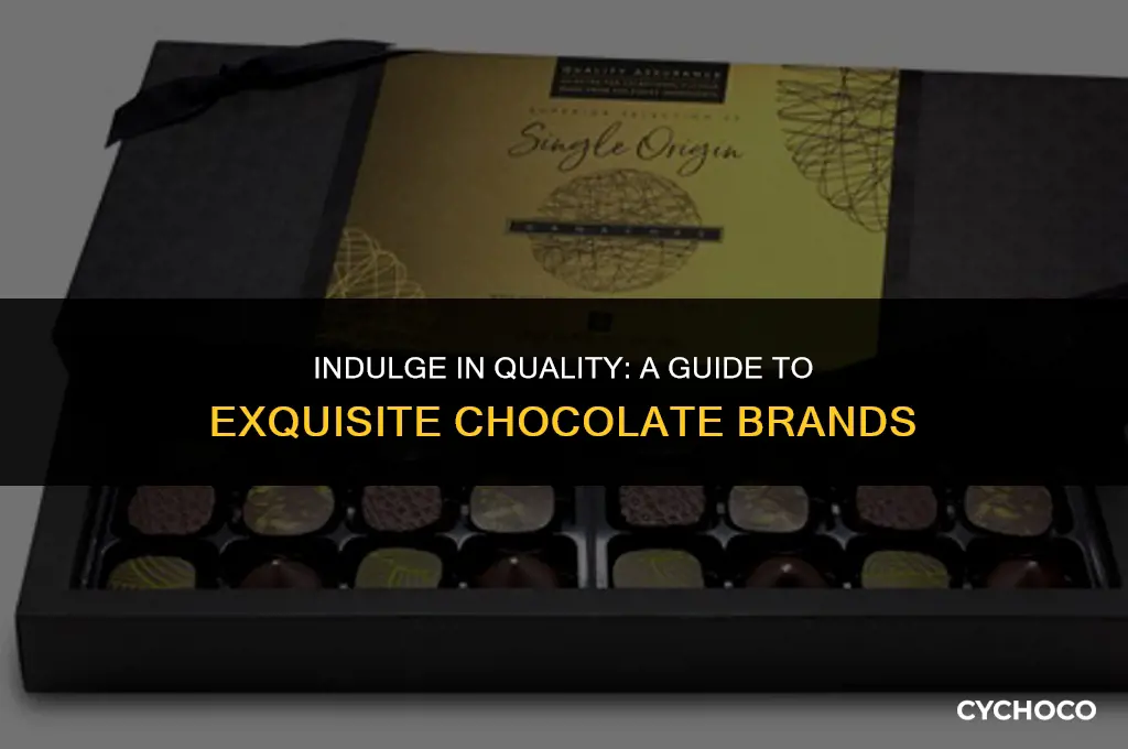 what are good chocolate brands